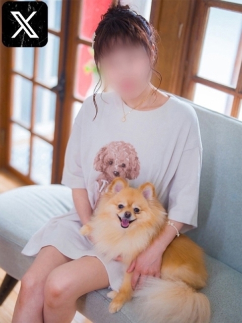 のぎく